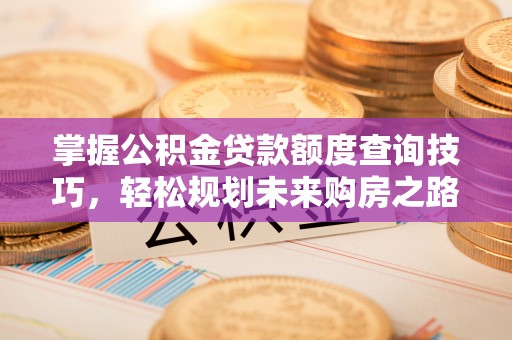 乌尔禾掌握公积金贷款额度查询技巧，轻松规划未来购房之路