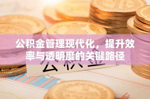 乌尔禾公积金管理现代化，提升效率与透明度的关键路径