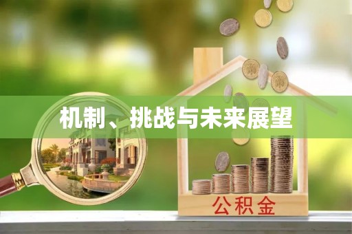 乌尔禾机制、挑战与未来展望